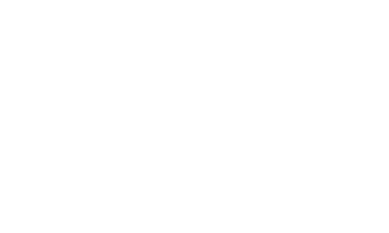 Precision Carpets